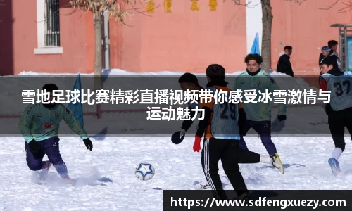 乐球直播体育