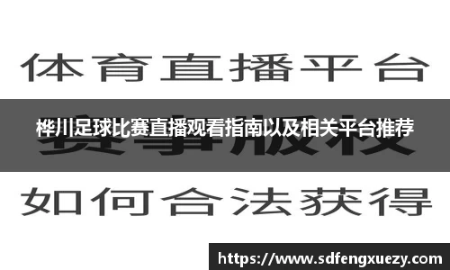 乐球体育直播在线观看