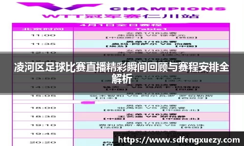 凌河区足球比赛直播精彩瞬间回顾与赛程安排全解析