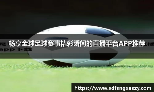 乐球体育直播在线观看