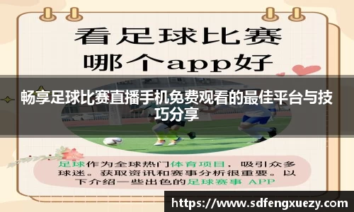 乐球体育直播