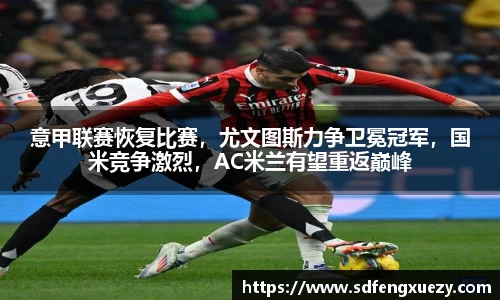 乐球体育