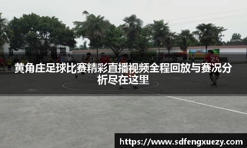 乐球体育直播