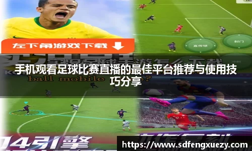 乐球直播体育