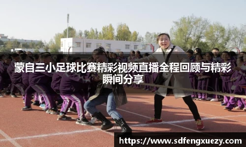 乐球体育直播