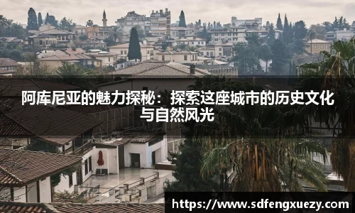 乐球体育直播