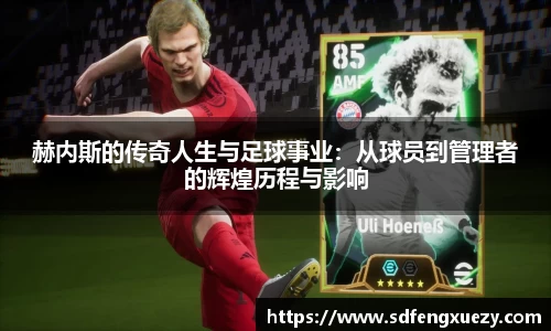 乐球体育直播