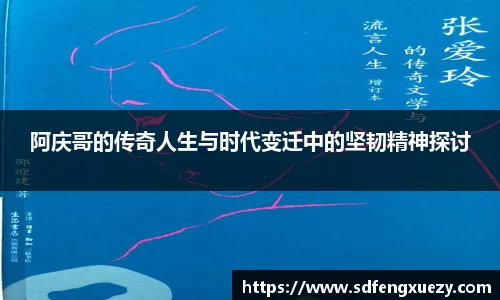 乐球体育直播